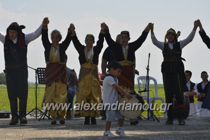 alexandriamou.gr_trikala28.5.2018025